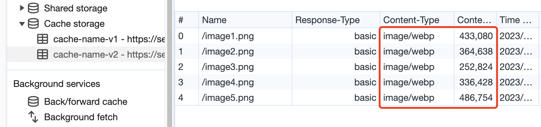 Cache Storage